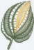 BL013